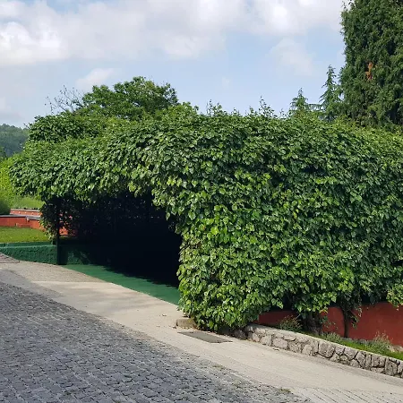 Peace Of Mind 2 Apartmán *